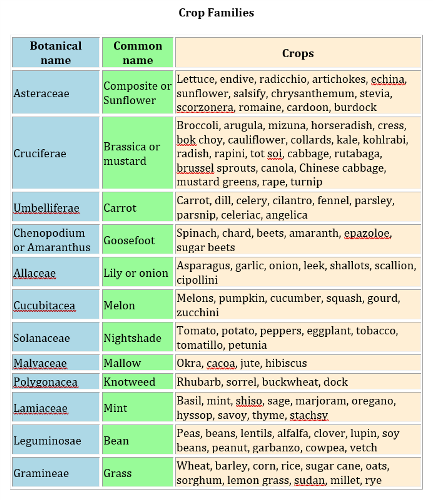 botanical-classification-of-crops