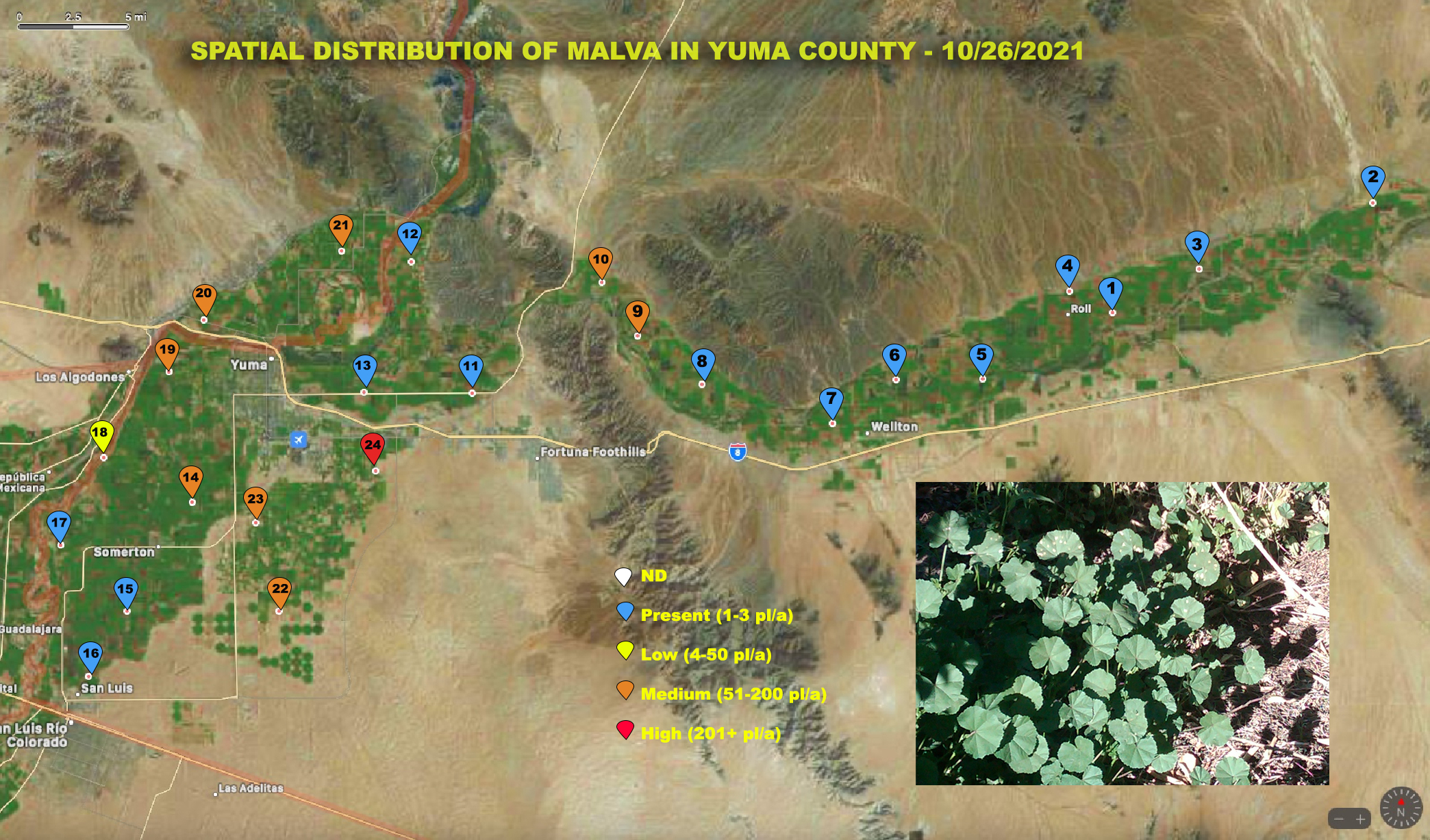 VegUpdate_11-3-2021_05