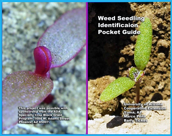 VIPM Update_OCT_05_2022_10