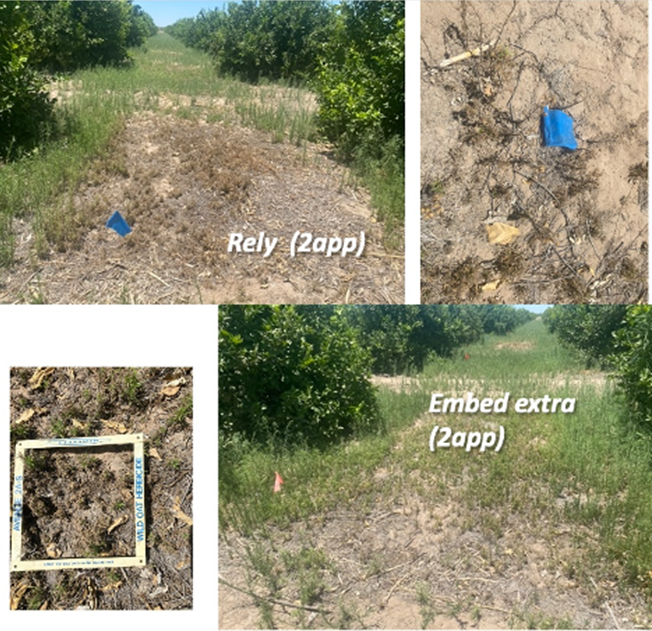 VIPM_June_15_2022_07