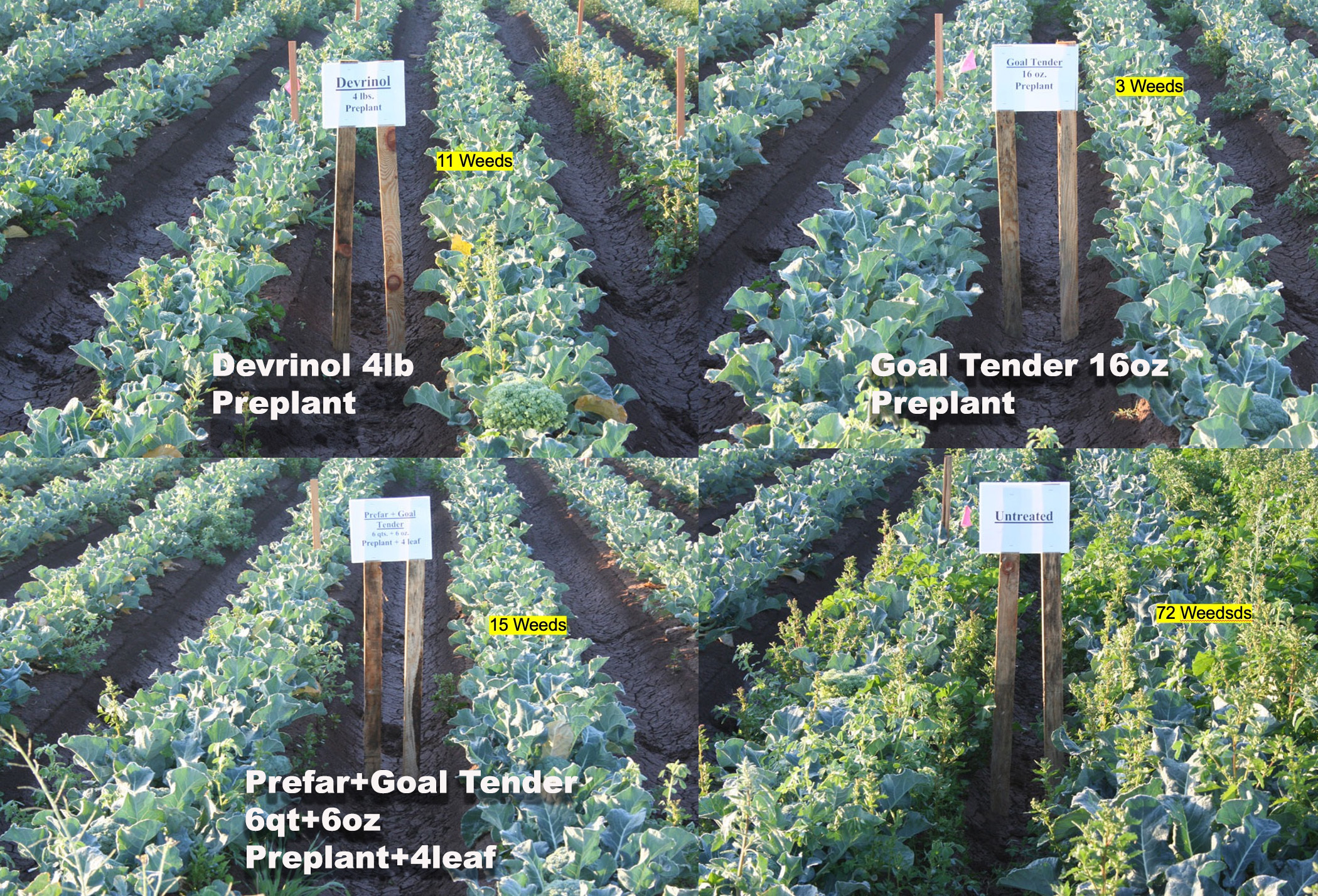 VIPM_Update_8-23-2023_06