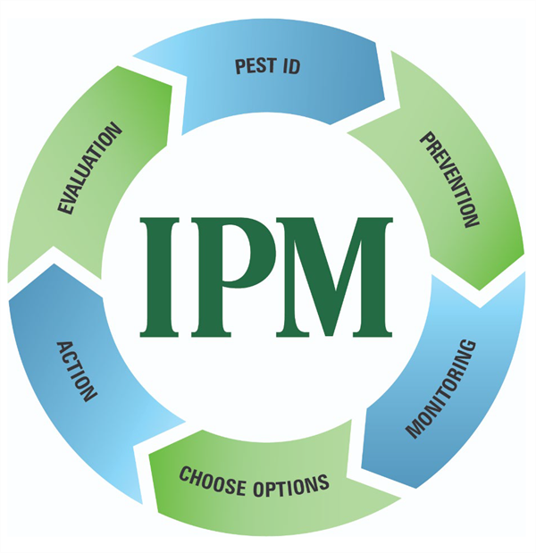 VIPM_8-20_03 VIPM_8-20_03