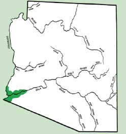 az1099no1state