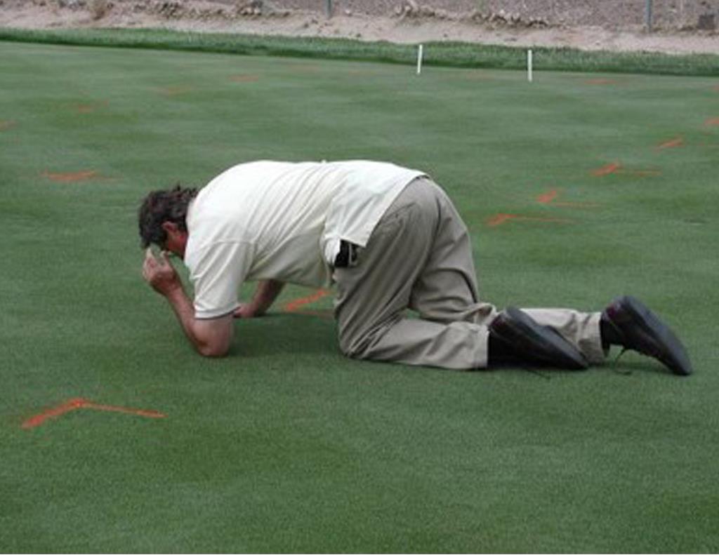 Dave Inspecting Turf On Hands and Knees