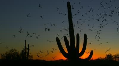 image009
