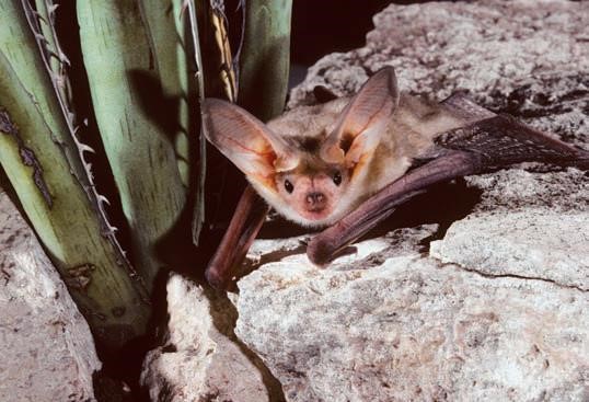 image013