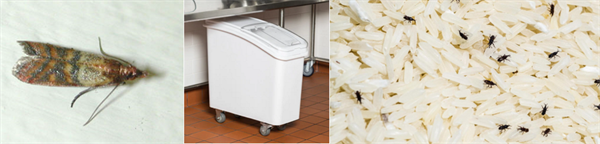 Aug-Newsletter_05 Aug-Newsletter_05