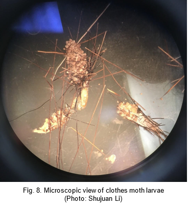 IPMNewsletterOct20-08