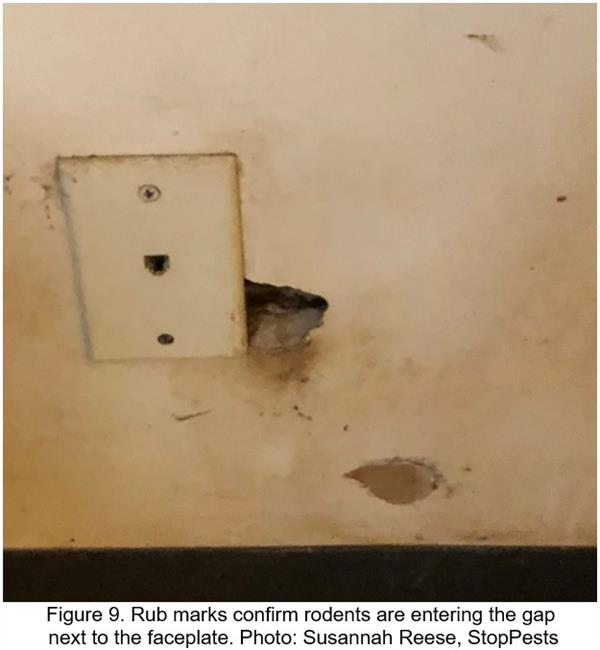 CIPMUP DEC2021 - 09 CIPMUP DEC2021 - 09