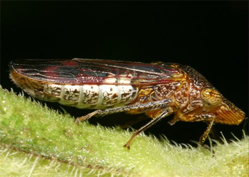 05 CIPM Sep 2024 05 CIPM Sep 2024