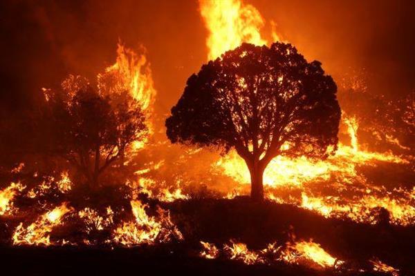 WildfireAZ WildfireAZ